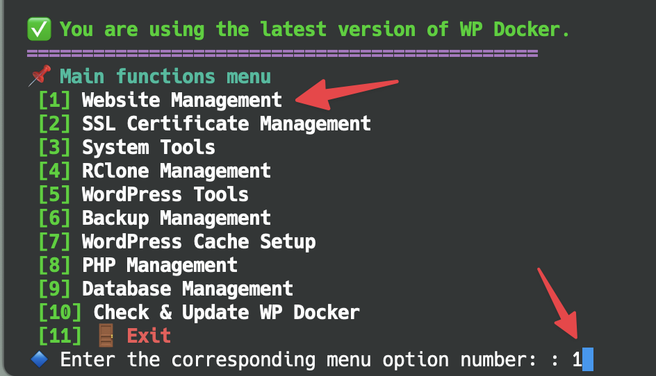 Select Website Management option in menu