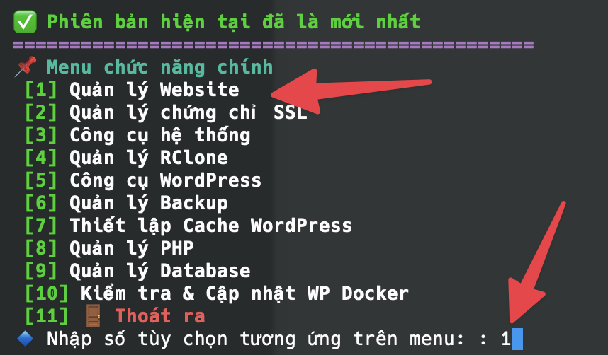 Chọn tùy chọn Quản lý website trên menu